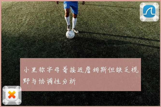 小里称字母哥接近詹姆斯但缺乏视野与协调性分析