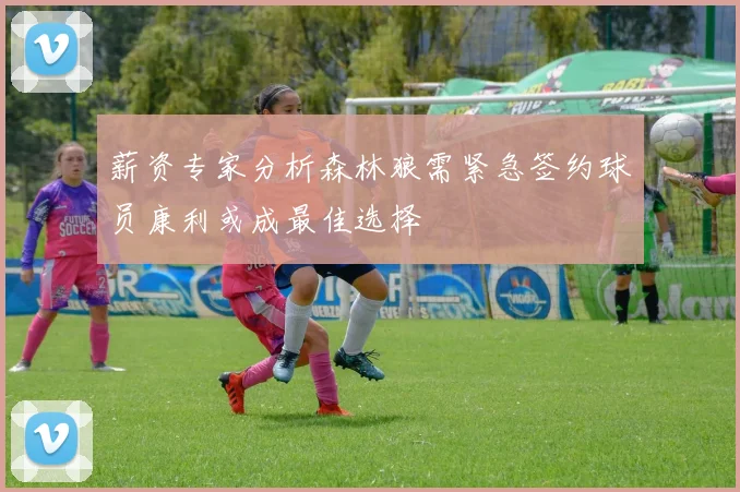 薪资专家分析森林狼需紧急签约球员康利或成最佳选择